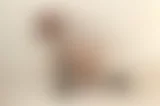 Anistirc